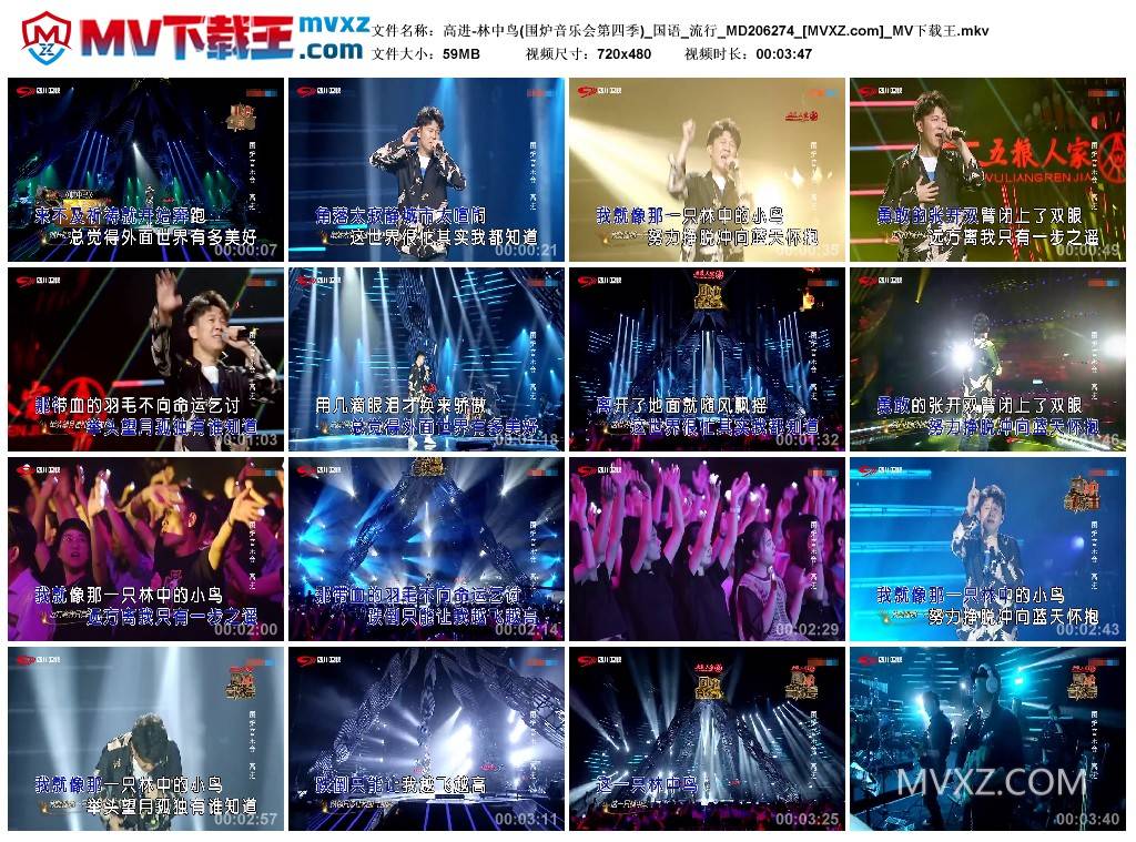 高进-林中鸟(围炉音乐会第四季)_国语_流行_MD206274